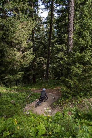 VTT Enduro : Les Sangliers