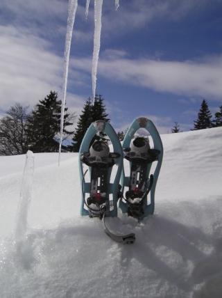 Sortie raquettes : Le Torbiau