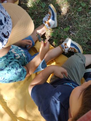 Atelier art - Les feuilles magiques