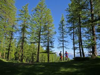 Parcours VAE & CROSS COUNTRY (XC) - DECOU'VERTE