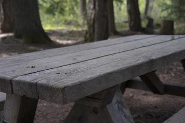 Aire de pique-nique au chalet des bachals