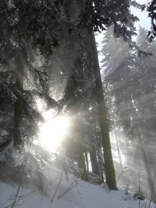 Sortie raquettes à neige 