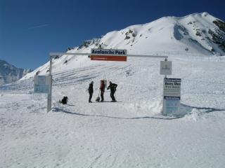Avalanche Park