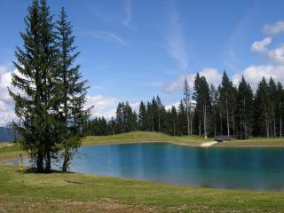 Aire de pique-nique et barbecues au sommet du Mont-Lachat