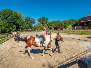 De Taninges aux Paddocks du Mont Blanc à Cheval