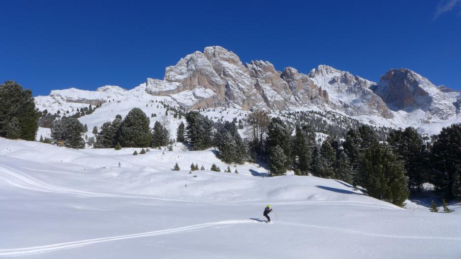 Comment choisir ses skis alpins ?