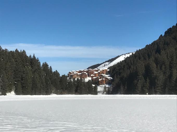 Comment profiter de la nature en station de ski ?