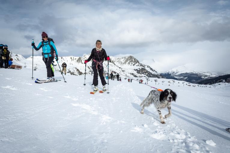 La montagne en hiver avec votre chien : nos conseils pour profiter de votre séjour