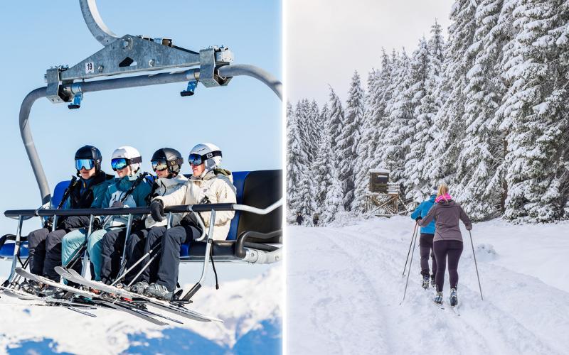 Ski alpin ou ski de fond : quelle discipline choisir pour vos vacances à la montagne 