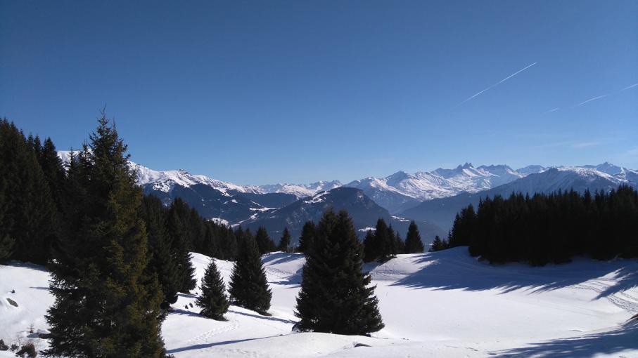 Top 5 des randonnées en raquettes en Savoie