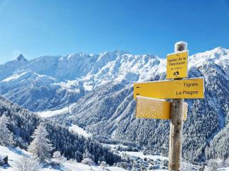 Pourquoi choisir la vallée de la Tarentaise pour des vacances au ski en famille ?