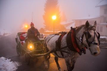 Balade en calèche avec le Père-Noël