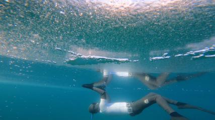 Immersions en apnée sous-glace