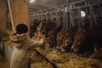 Visite de la ferme du GAEC Alpin