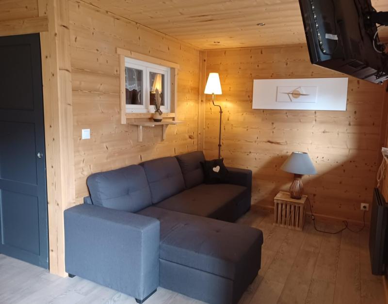 Ski verhuur Appartement 2 kamers bergnis 6 personen (D204) - Le Hameau des Aiguilles - Albiez Montrond - Woonkamer