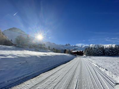 Alquiler al esquí VVF Le Hameau des Aiguilles d'Arves - Albiez Montrond - Invierno