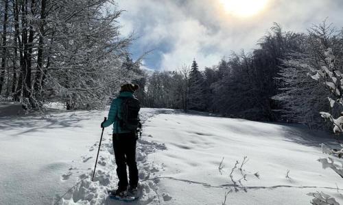 Wynajem Alpe d'Huez : Camping Le Belledonne lato
