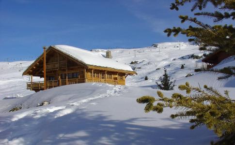 Vacances en montagne Les Chalets de l'Altiport - Alpe d'Huez - Extérieur hiver