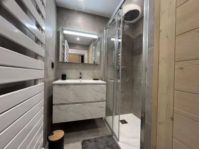 Rent in ski resort 2 room apartment cabin 4 people (C24) - Résidence Phoenix C - Alpe d'Huez - Shower room