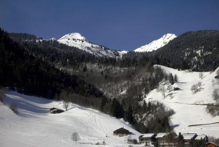 Alquiler al esquí Apartamento 3 piezas para 6 personas (35765) - Chalet Bel Alp - Arêches-Beaufort