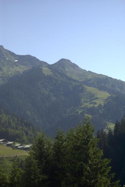 Soggiorno sugli sci Chalet Bel Alp - Arêches-Beaufort - Balcone