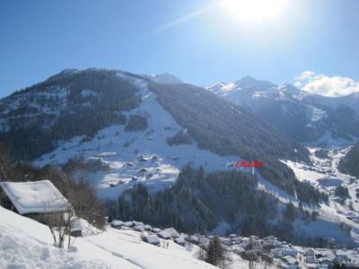 Alquiler al esquí Apartamento 2 piezas para 4 personas (5408671) - Hameau les Envers - Arêches-Beaufort