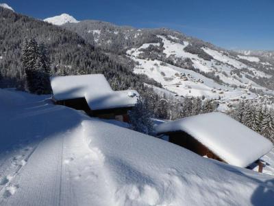 Alquiler al esquí Apartamento 2 piezas para 4 personas (559028) - Hameau les Envers - Arêches-Beaufort