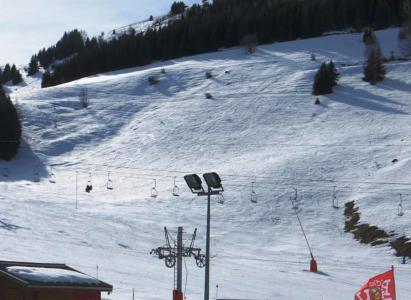 Location au ski Appartement 2 pièces coin montagne 8 personnes (004) - Résidence Martagons B - Auris en Oisans - Extérieur hiver