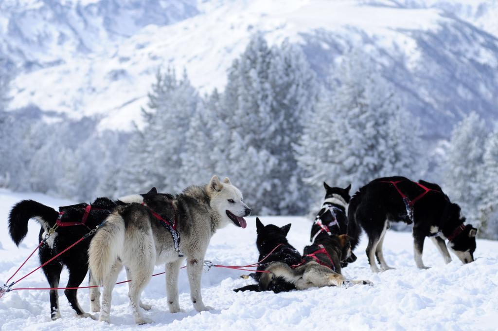 Appartement 2 pièces 2 personnes