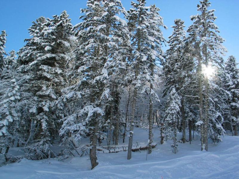 Ski verhuur Résidence Europe - Barèges/La Mongie - Buiten winter