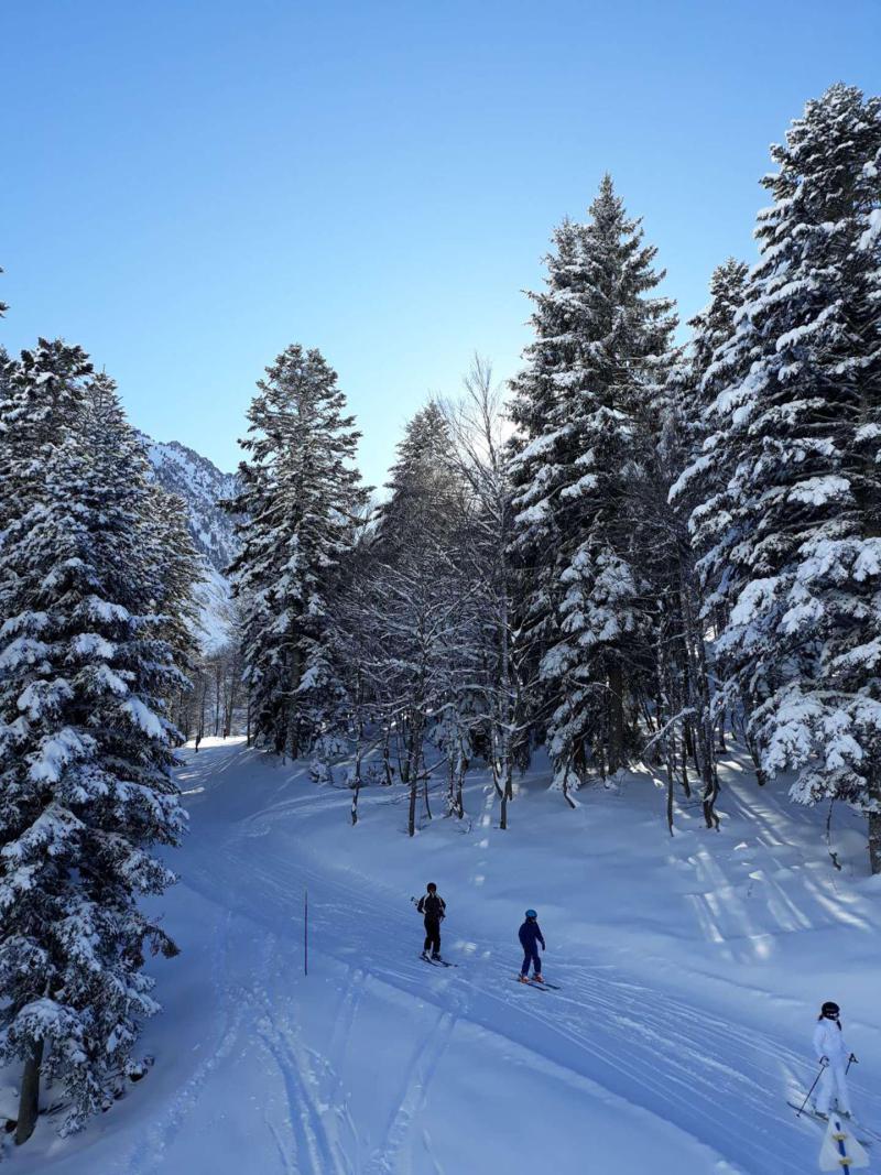 Аренда на лыжном курорте Квартира студия кабина для 4 чел. (PM65) - Résidence Lienz - Barèges/La Mongie
