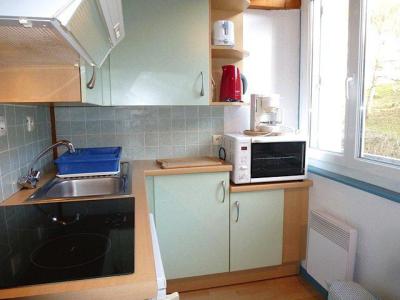 Location au ski Studio mezzanine 4 personnes (PM52) - Résidence Hélios - Barèges/La Mongie - Kitchenette