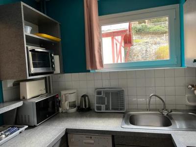 Location au ski Appartement 2 pièces 4 personnes (301) - Résidence Royal - Brides Les Bains - Kitchenette