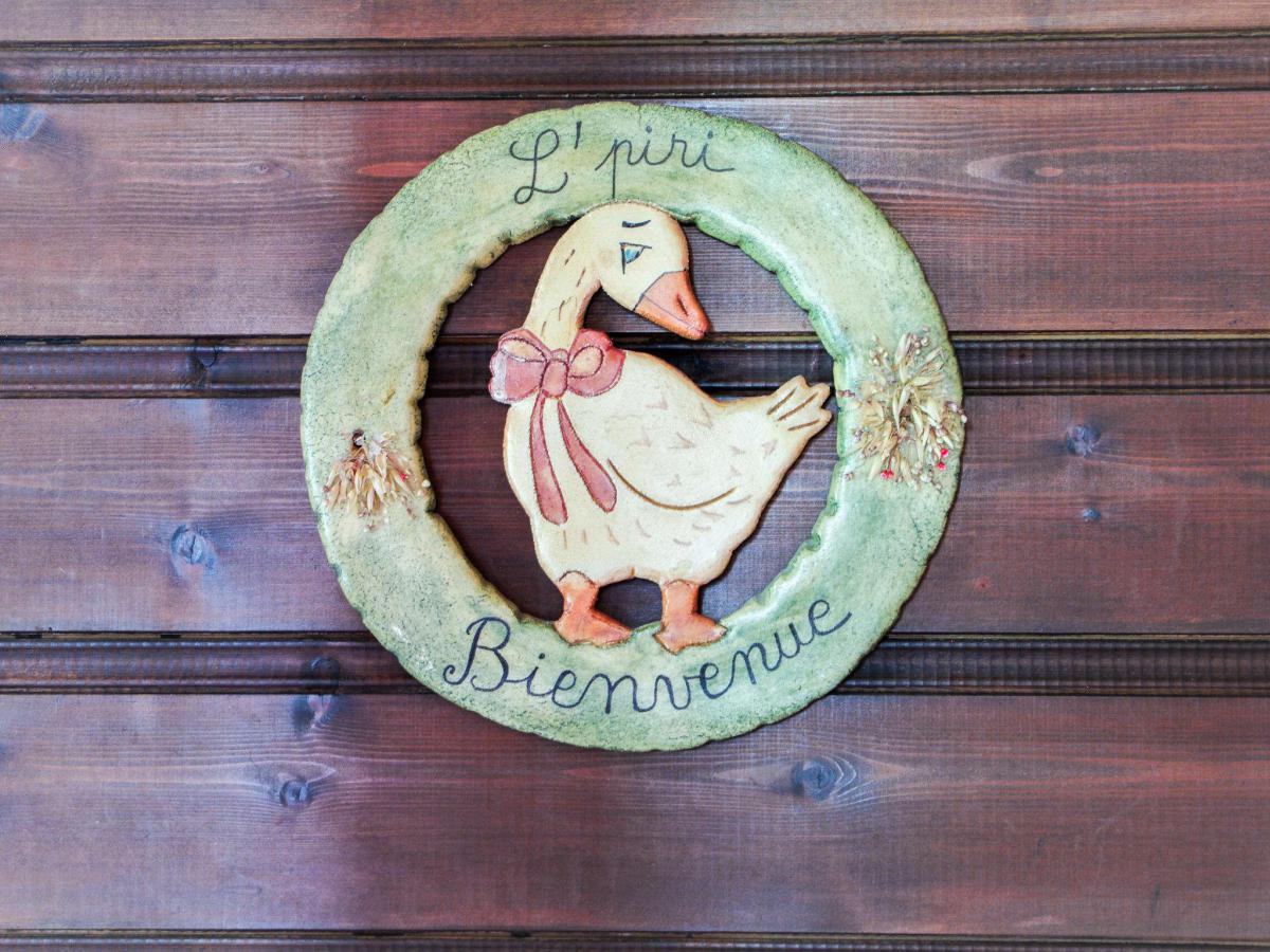 Chalet 6 pièces 12 personnes (1)