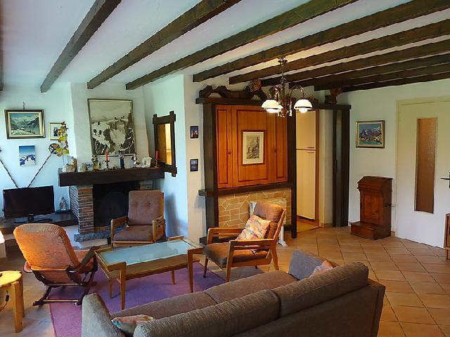Rent in ski resort 3 room apartment 4 people (1) - Le Bois du Bouchet - Chamonix - Living room