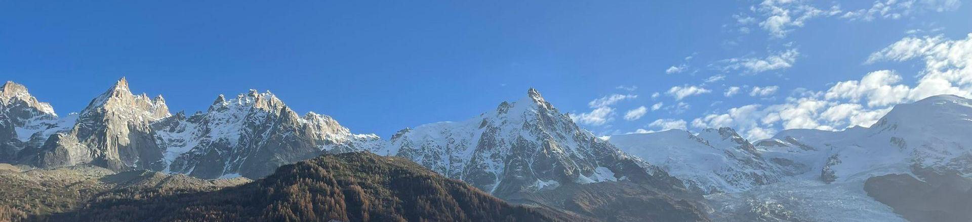 Аренда на лыжном курорте Chalet le Panorama - Chamonix