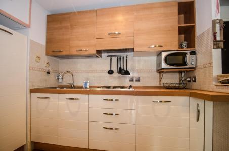 Skiverleih 1-Zimmer-Appartment für 4 Personen (Tetras) - Résidence Iris - Chamonix - Küche
