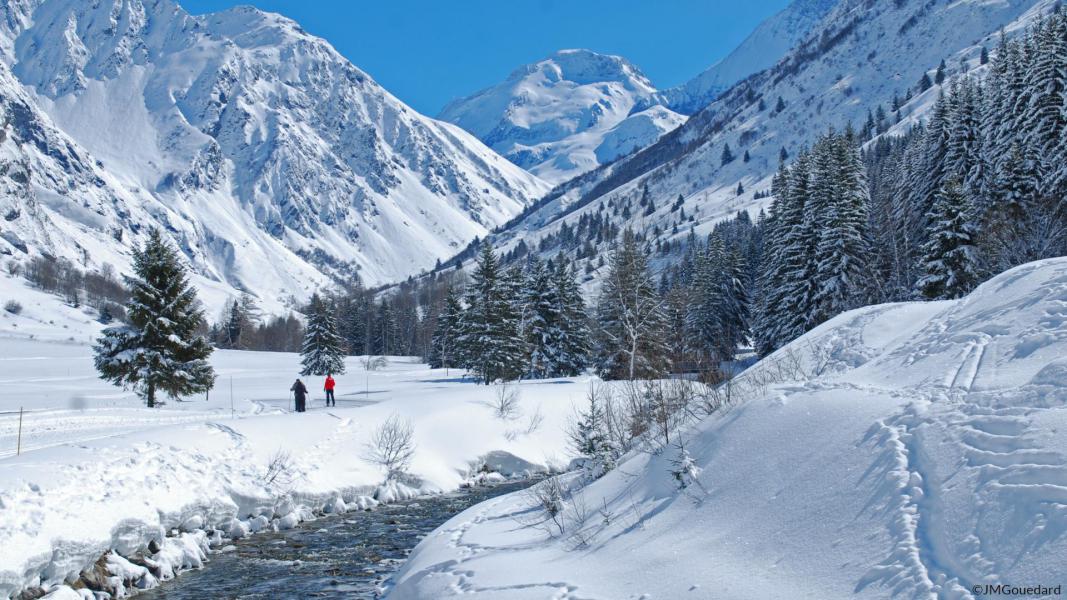 Location au ski Résidence les Terrasses de la Vanoise - Champagny-en-Vanoise - Extérieur hiver