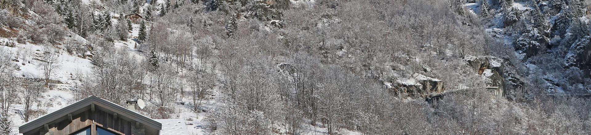 Skiverleih Chalet Mountain Paradise - Champagny-en-Vanoise - Draußen im Winter