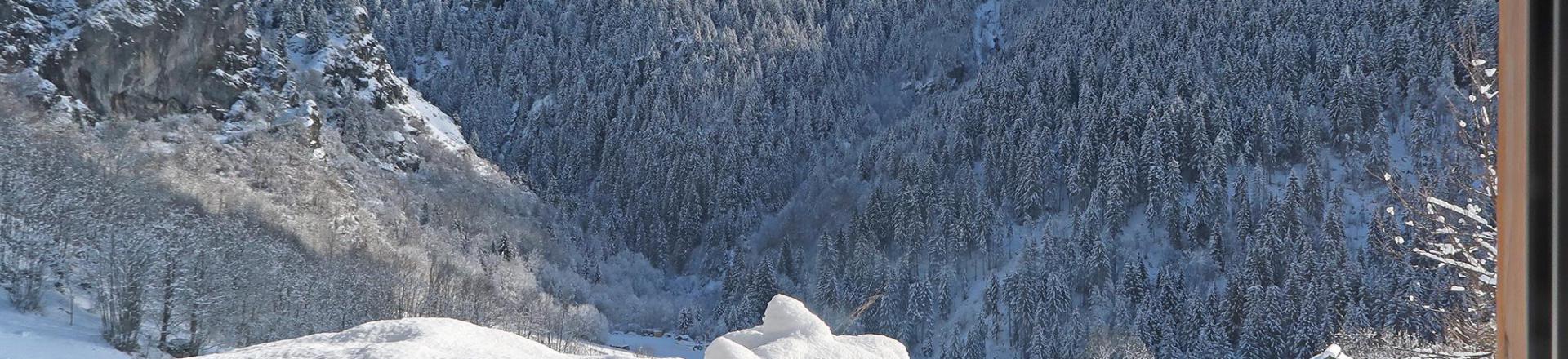 Аренда на лыжном курорте Chalet Mountain Paradise - Champagny-en-Vanoise - зимой под открытым небом