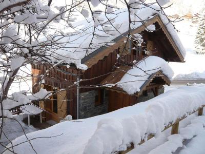 Vacances en montagne Chalet 3 pièces 7 personnes - Résidence les Edelweiss - Champagny-en-Vanoise - Extérieur hiver