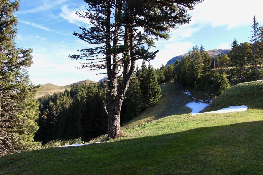Alquiler al esquí Estudio -espacio montaña- para 3 personas (117) - Résidence l'Edelweiss - Chamrousse