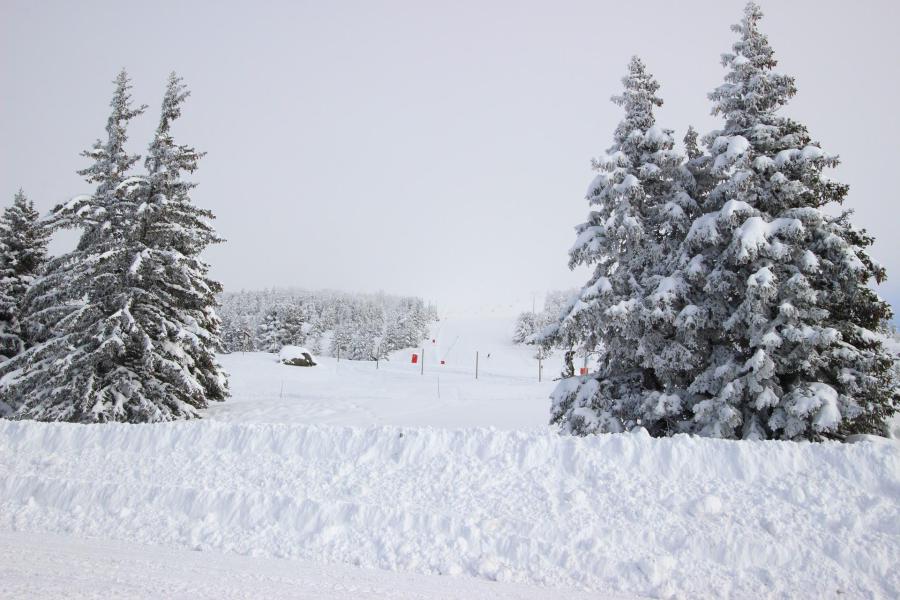 Location au ski Appartement 2 pièces 6 personnes (010) - Résidence la Grive - Chamrousse - Extérieur hiver