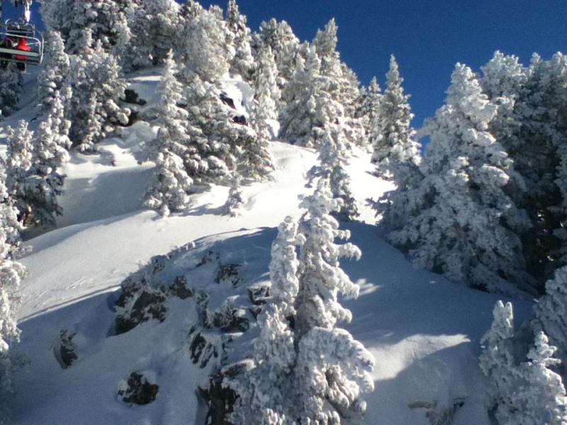 Ski verhuur Studio bergnis 4 personen (0710) - Résidence le Vernon - Chamrousse