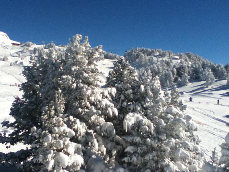 Ski verhuur Studio bergnis 4 personen (0302) - Résidence le Vernon - Chamrousse - Buiten winter