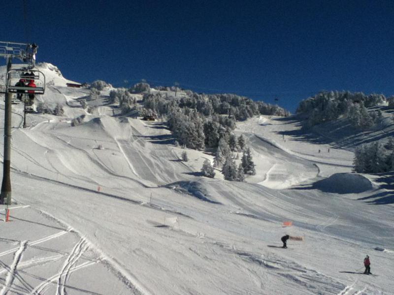Rent in ski resort Studio 4 people (302) - Résidence les Carlines - Chamrousse