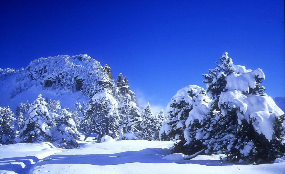 Alquiler al esquí Estudio para 4 personas (302) - Résidence les Carlines - Chamrousse