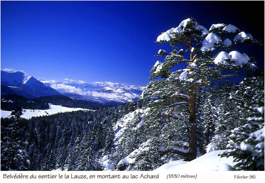 Vacanze in montagna Studio per 4 persone (415) - Résidence les Carlines - Chamrousse - Esteriore inverno