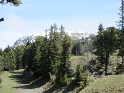 Alquiler al esquí Estudio -espacio montaña- para 3 personas (118) - Résidence l'Edelweiss - Chamrousse