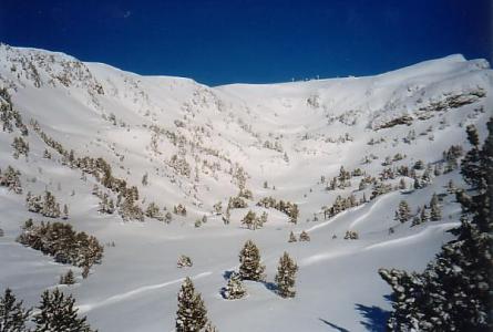 Location au ski Studio 2 personnes (13) - Résidence l'Hippocampe - Chamrousse - Extérieur hiver